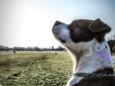 A serene training space with natural light.